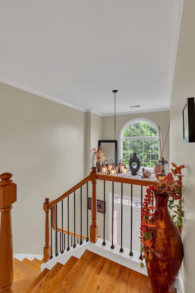 1046 Island Brook Dr, Hendersonville, TN 37075 - photo 29