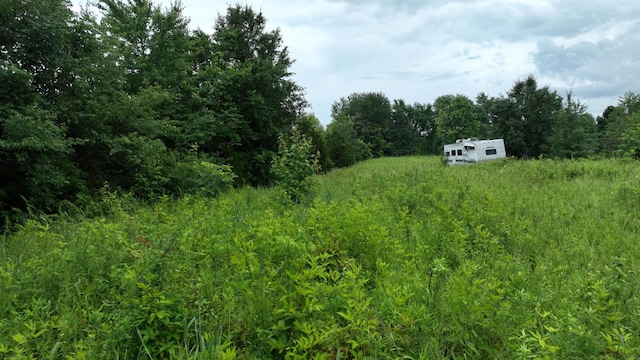 11 Carnes Rd, Trenton, TN 38382