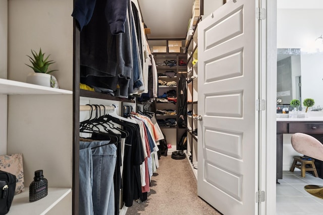 809 Old Blue Ln, Murfreesboro, TN 37130 - view of spacious closet