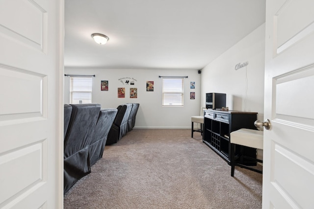 809 Old Blue Ln, Murfreesboro, TN 37130 - office space with plenty of natural light and carpet flooring