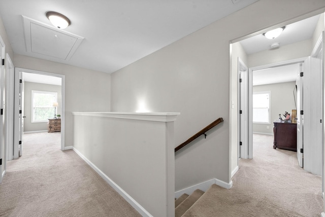 1197 Upland Ter, Clarksville, TN 37043 - hall with an upstairs landing, light carpet, and attic access