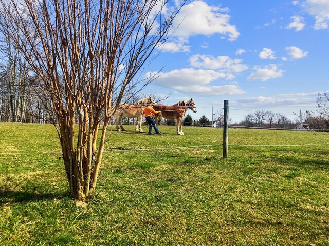 5 Little Dr, Soddy Daisy, TN 37379 - photo 52