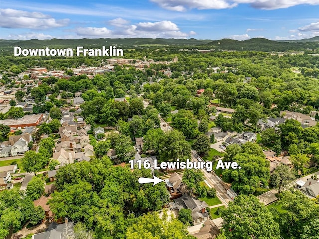 116 Lewisburg Ave, Franklin, TN 37064 - photo 62