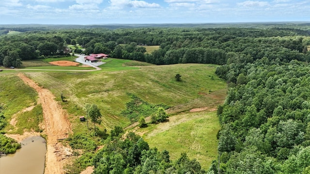 1880 Clydeton Rd, Waverly, TN 37185 - aerial view of sparsely populated area with a forest and a large body of water