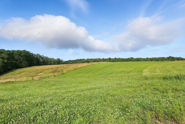 1880 Clydeton Rd, Waverly, TN 37185 - view of undeveloped land