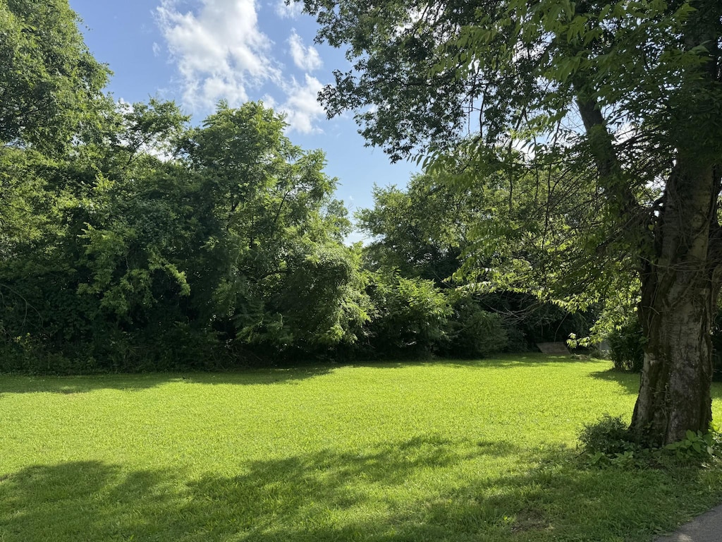 115 Jones Dr, Goodlettsville, TN 37072 - photo 1
