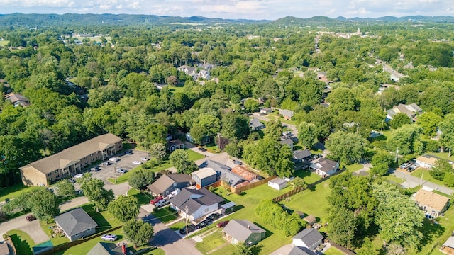 503 N Petway St, Franklin, TN 37064 - photo 13