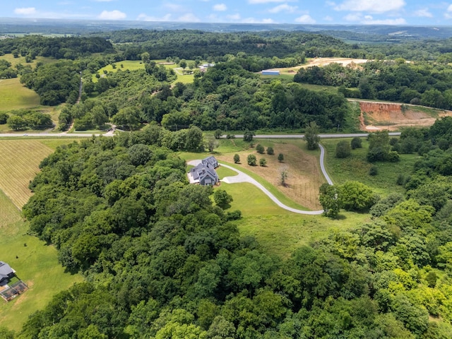 2680 Williamsport Pike, Columbia, TN 38401 - photo 70