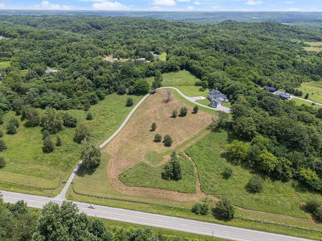 2680 Williamsport Pike, Columbia, TN 38401 - photo 68