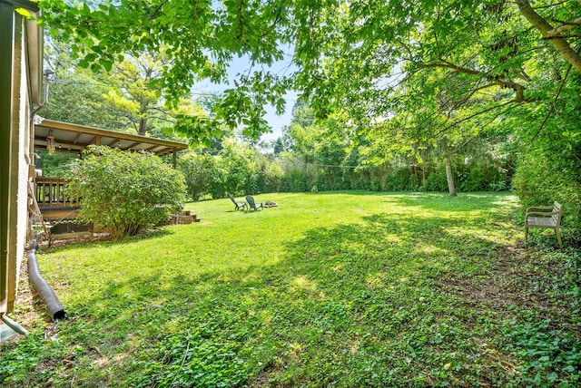 1207 Trotwood Ave, Columbia, TN 38401 - view of green lawn