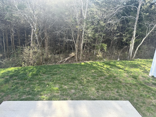 6544 Wilford Ct, Smyrna, TN 37167 - photo 4