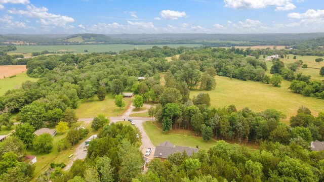 390 Hurd Rd, Prospect, TN 38477 - photo 49