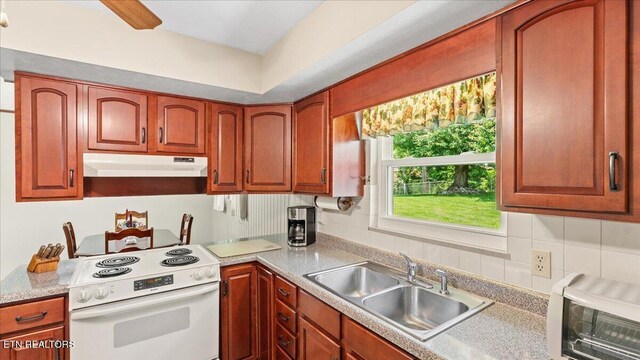 4309 Lonor Dr, Knoxville, TN 37918 - photo 20