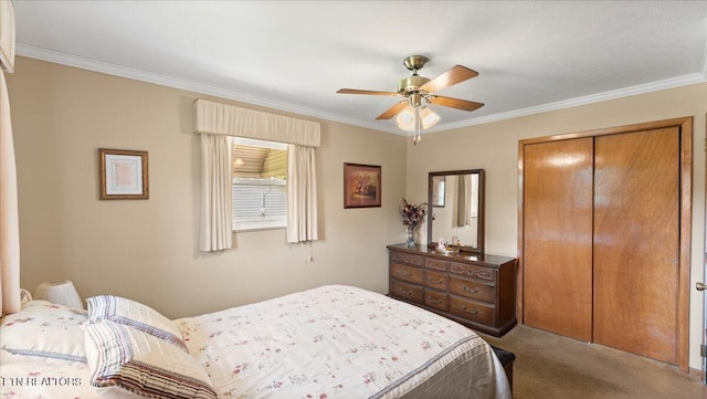 4309 Lonor Dr, Knoxville, TN 37918 - photo 11