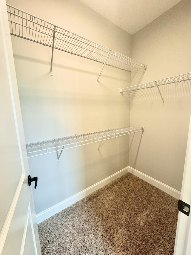 65 Misty Ln, Castalian Springs, TN 37031 - view of spacious closet