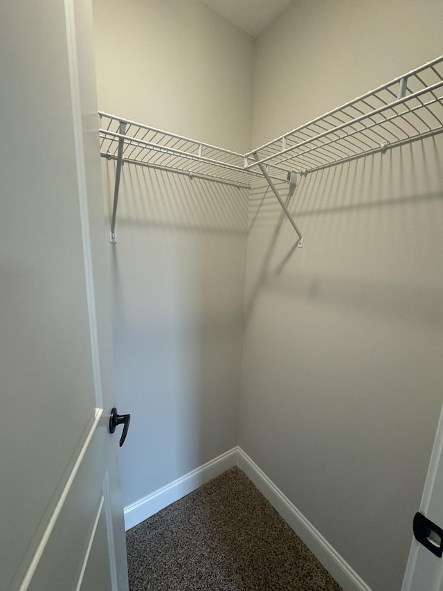 65 Misty Ln, Castalian Springs, TN 37031 - walk in closet featuring dark carpet