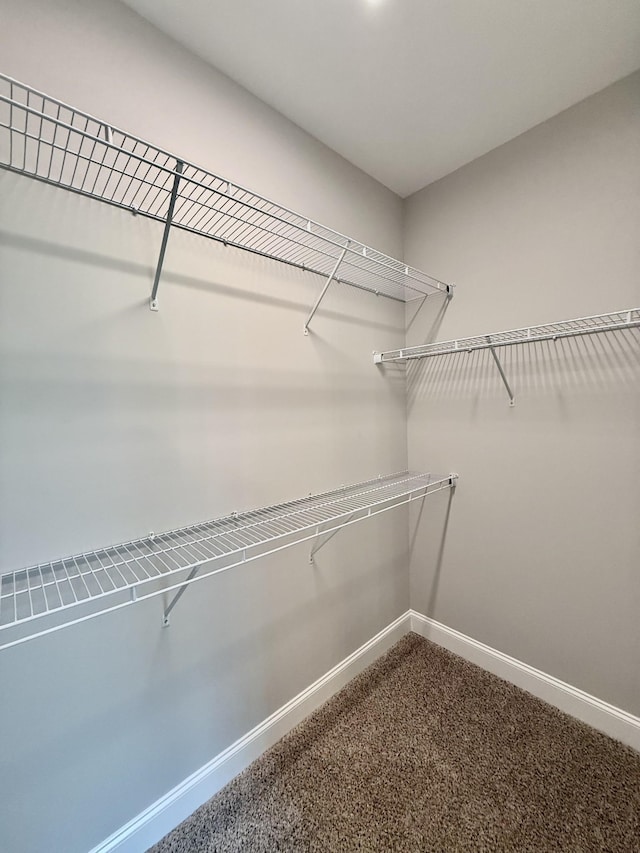 65 Misty Ln, Castalian Springs, TN 37031 - walk in closet with carpet flooring