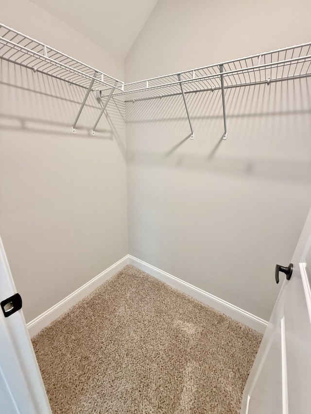 65 Misty Ln, Castalian Springs, TN 37031 - walk in closet featuring vaulted ceiling and carpet flooring