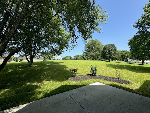 65 Misty Ln, Castalian Springs, TN 37031 - view of green lawn featuring a patio area