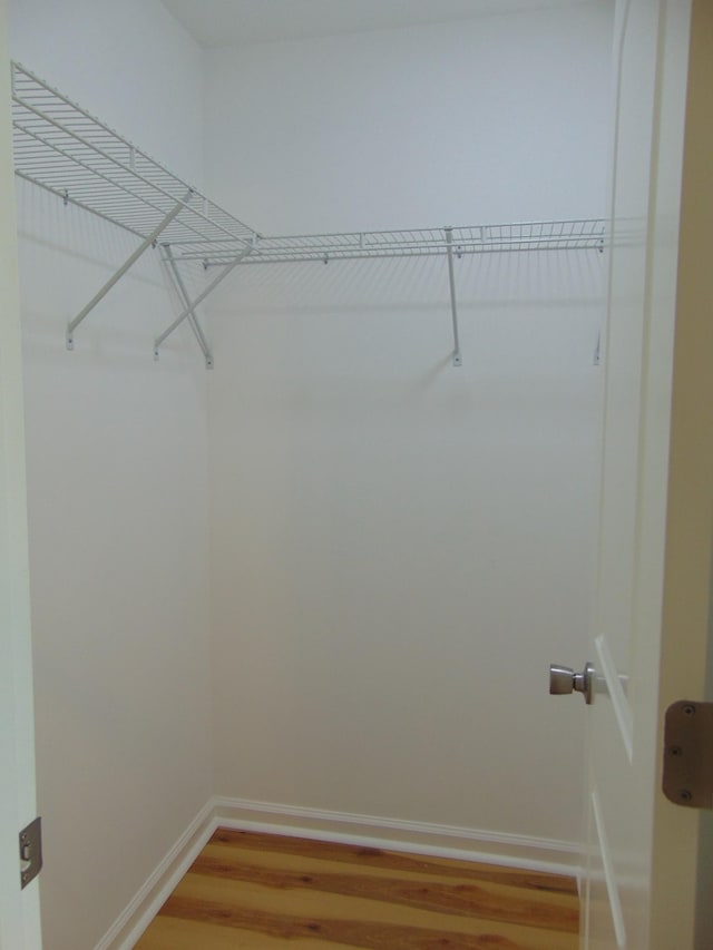 369 Brace Loop, Summertown, TN 38483 - walk in closet with light wood-style floors