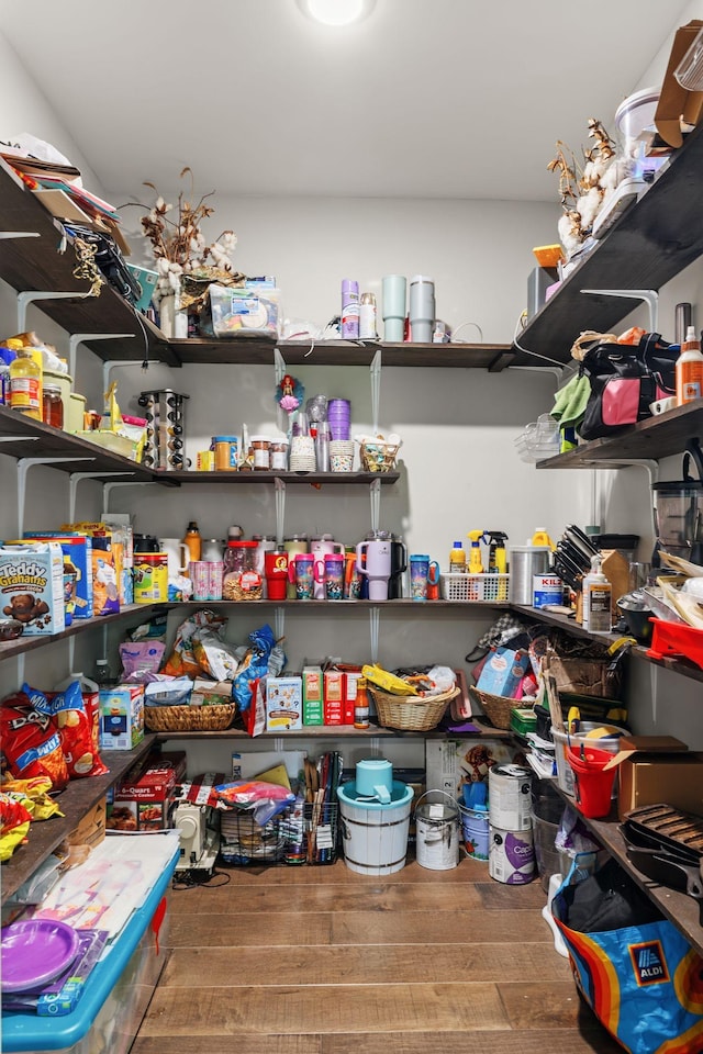 268 Planters Cir, Leoma, TN 38468 - view of pantry