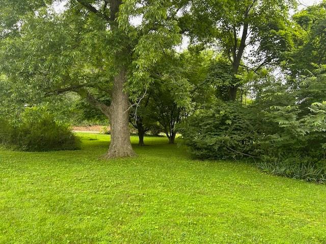 2825 Lylewood Rd, Woodlawn, TN 37191 - photo 3
