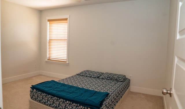 2076 Autry Dr, Nolensville, TN 37135 - photo 45