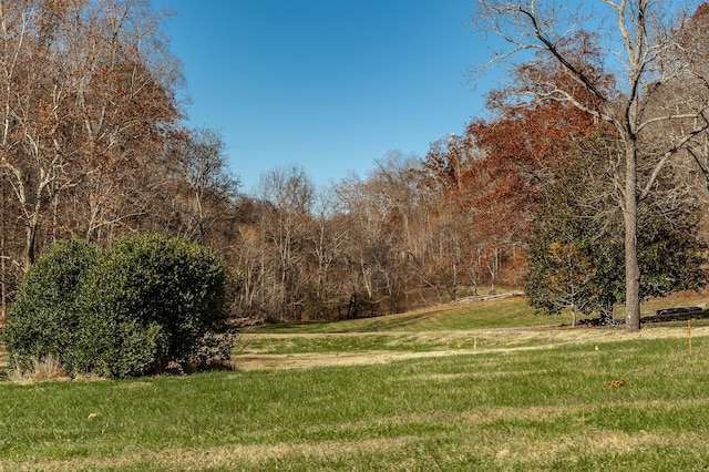 395 Allen Rd, Goodlettsville, TN 37072 - view of green lawn featuring a wooded view