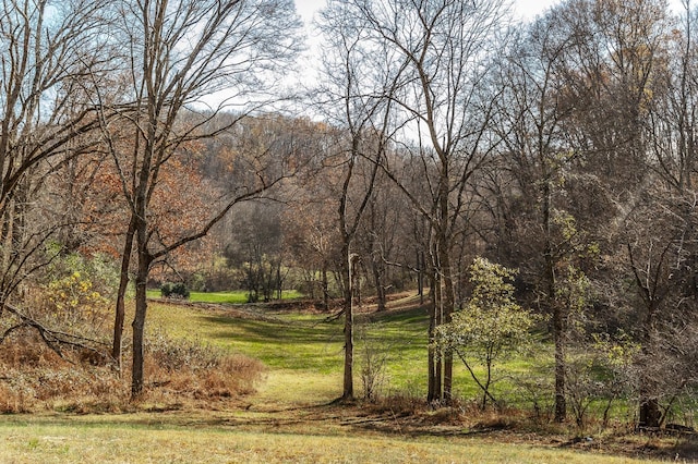 395 Allen Rd, Goodlettsville, TN 37072 - view of woods