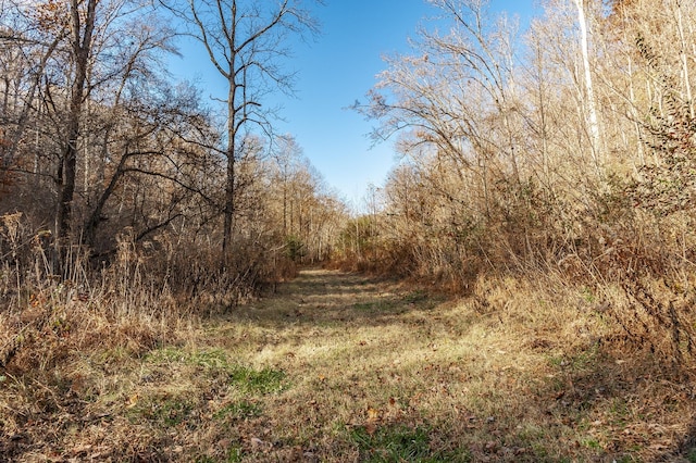 395 Allen Rd, Goodlettsville, TN 37072 - view of local wilderness