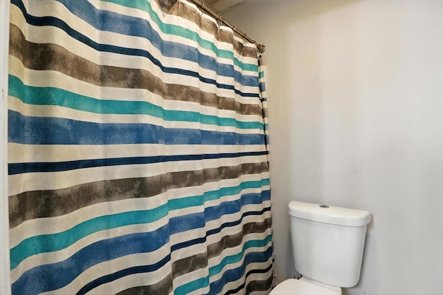 1069 Pleasant Valley Rd, Greenbrier, TN 37073 - bathroom featuring toilet