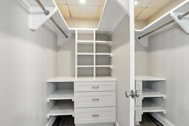 1069 Pleasant Valley Rd, Greenbrier, TN 37073 - walk in closet with a paneled ceiling and dark wood-style floors