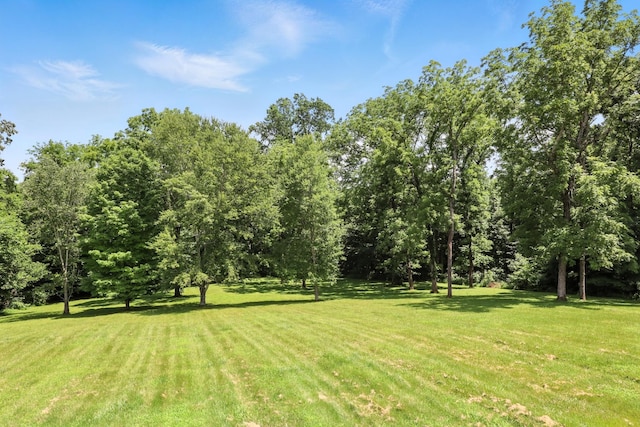 1069 Pleasant Valley Rd, Greenbrier, TN 37073 - view of green lawn
