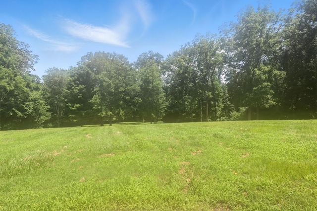 1069 Pleasant Valley Rd, Greenbrier, TN 37073 - view of grassy yard with a view of trees