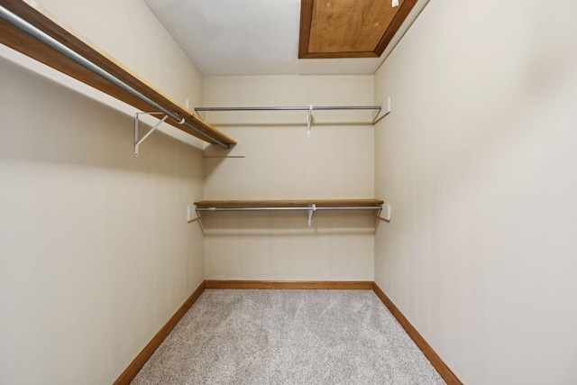 4255 Mcfall Rd, Cumberland City, TN 37050 - walk in closet featuring carpet