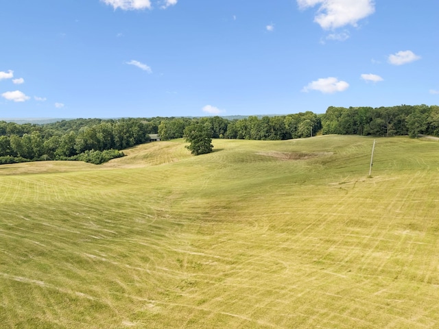 4255 Mcfall Rd, Cumberland City, TN 37050 - view of yard