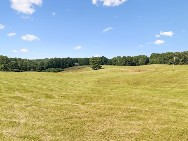4255 Mcfall Rd, Cumberland City, TN 37050 - view of nature