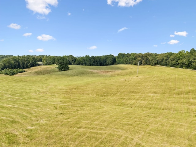 4255 Mcfall Rd, Cumberland City, TN 37050 - view of local wilderness