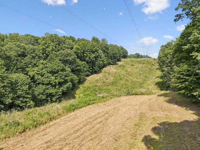 4255 Mcfall Rd, Cumberland City, TN 37050 - view of yard