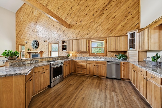 4255 Mcfall Rd, Cumberland City, TN 37050 - kitchen with stainless steel appliances, a peninsula, dark wood-style flooring, dark stone counters, and high vaulted ceiling