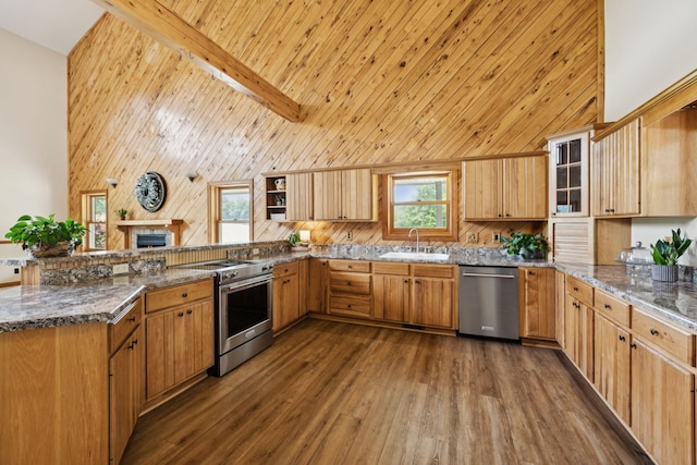 4255 Mcfall Rd, Cumberland City, TN 37050 - kitchen featuring stainless steel appliances, a peninsula, dark wood-style flooring, dark stone counters, and high vaulted ceiling