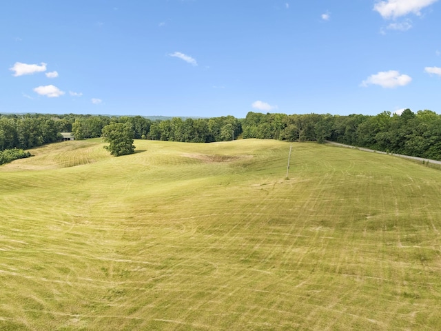 4255 Mcfall Rd, Cumberland City, TN 37050 - bird's eye view