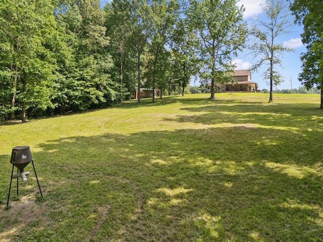 4255 Mcfall Rd, Cumberland City, TN 37050 - view of grassy yard