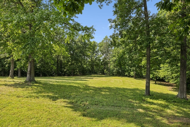 4255 Mcfall Rd, Cumberland City, TN 37050 - view of green lawn