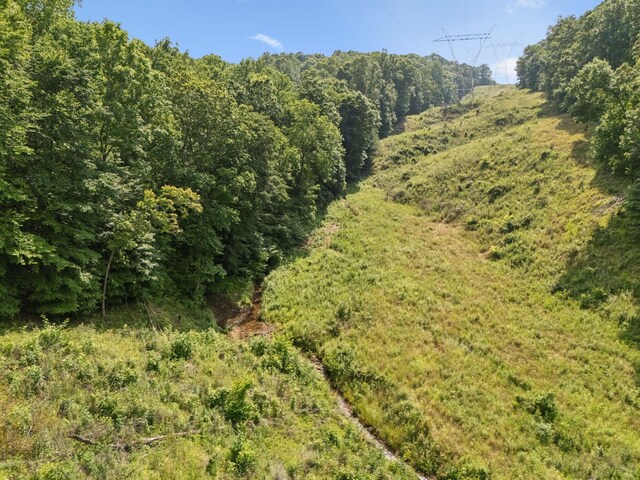 4255 Mcfall Rd, Cumberland City, TN 37050 - view of wooded area