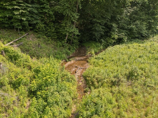 4255 Mcfall Rd, Cumberland City, TN 37050 - view of undeveloped land