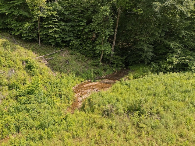4255 Mcfall Rd, Cumberland City, TN 37050 - view of woods