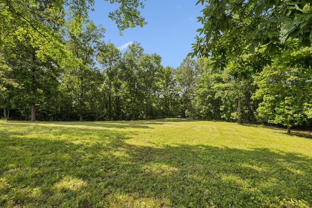 4255 Mcfall Rd, Cumberland City, TN 37050 - view of green lawn