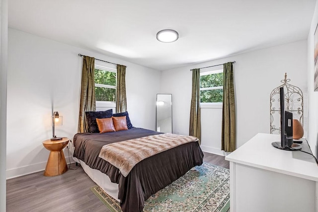 5171 Whites Creek Pike, Whites Creek, TN 37189 - bedroom featuring multiple windows and wood finished floors