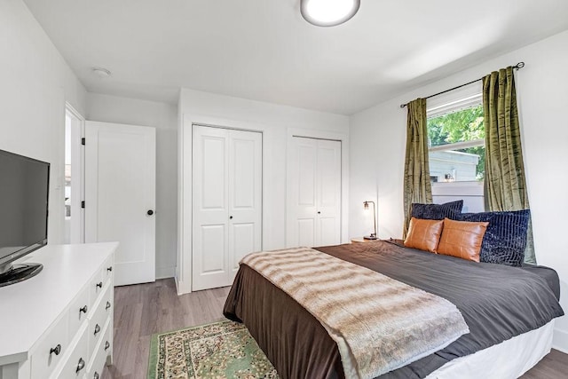 5171 Whites Creek Pike, Whites Creek, TN 37189 - bedroom featuring two closets and wood finished floors